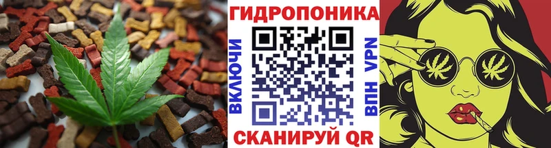 Купить  Сусуман  Cannafood конопля 