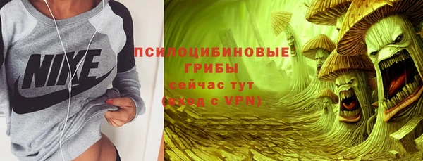 синтетический гашиш Карпинск