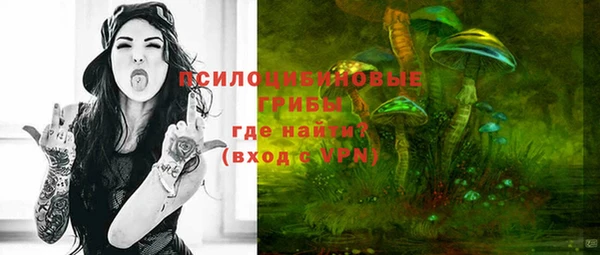 синтетический гашиш Карпинск